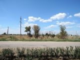 Image of landscape