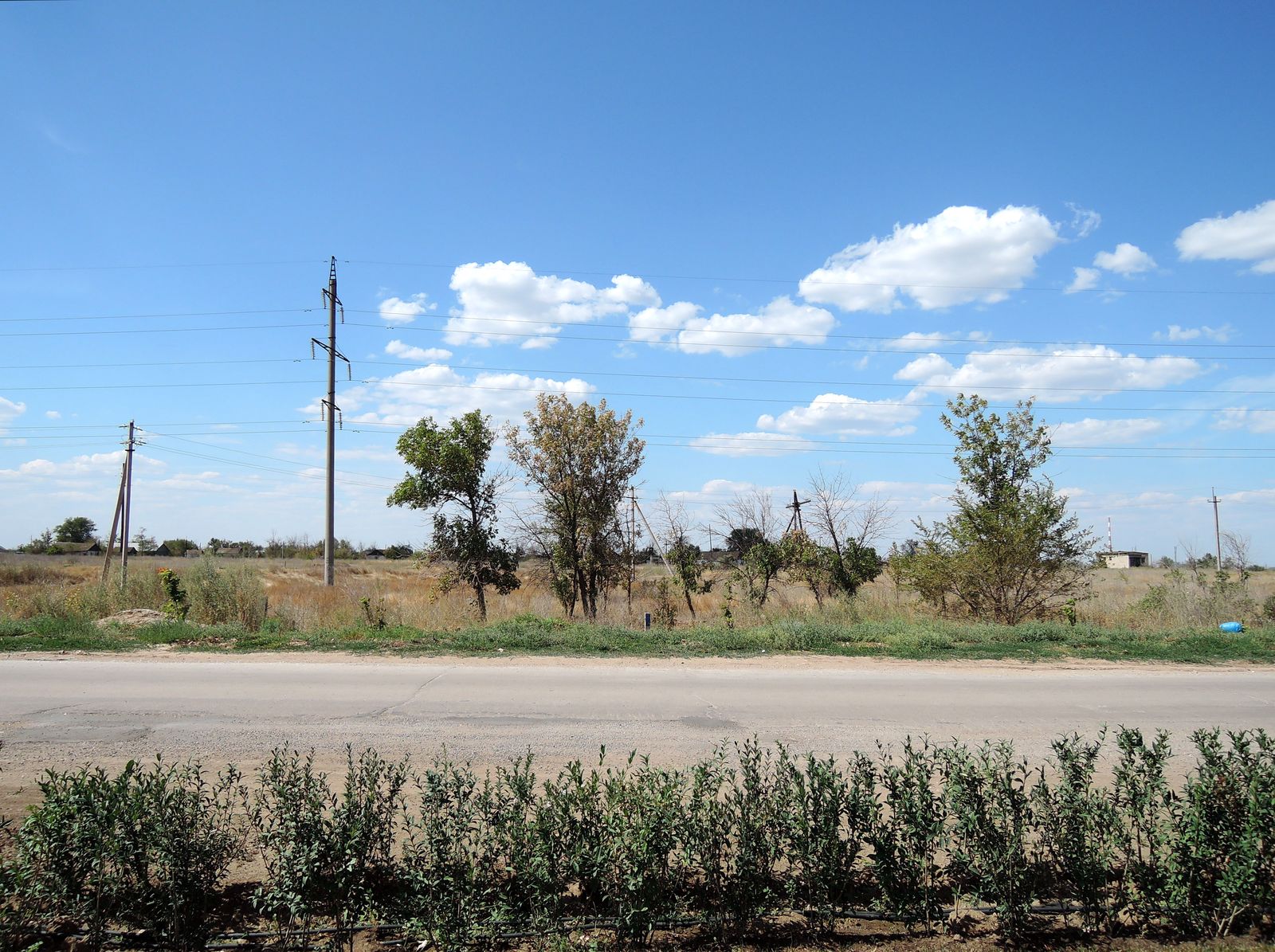 Средняя Ахтуба, image of landscape/habitat.