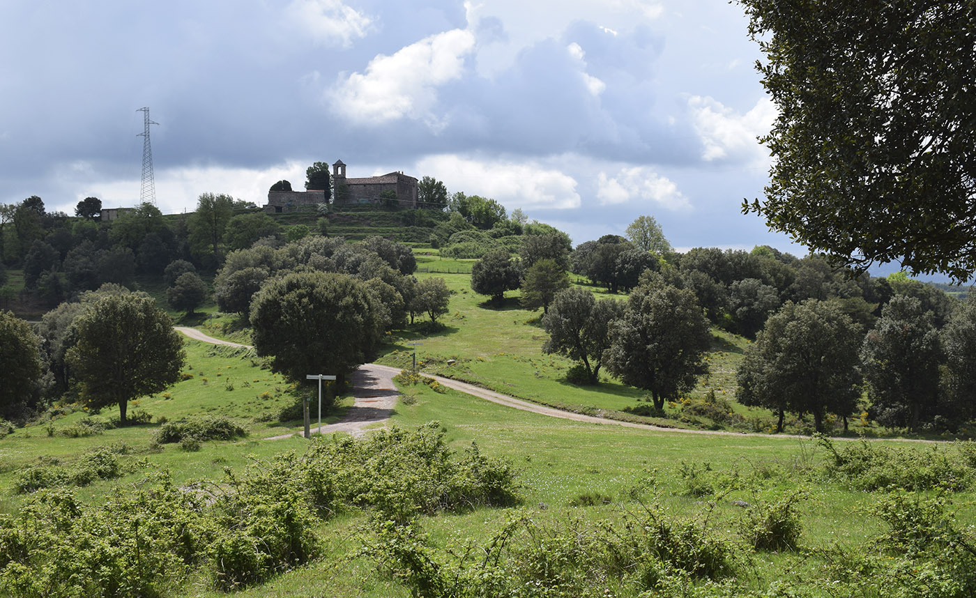 Окрестности Сант-Марти-Сакальм, image of landscape/habitat.