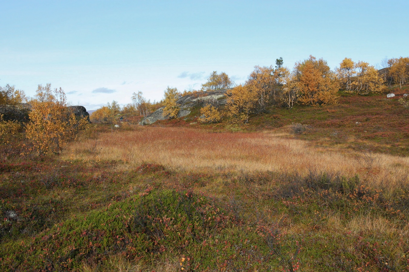 Горелая сопка, image of landscape/habitat.