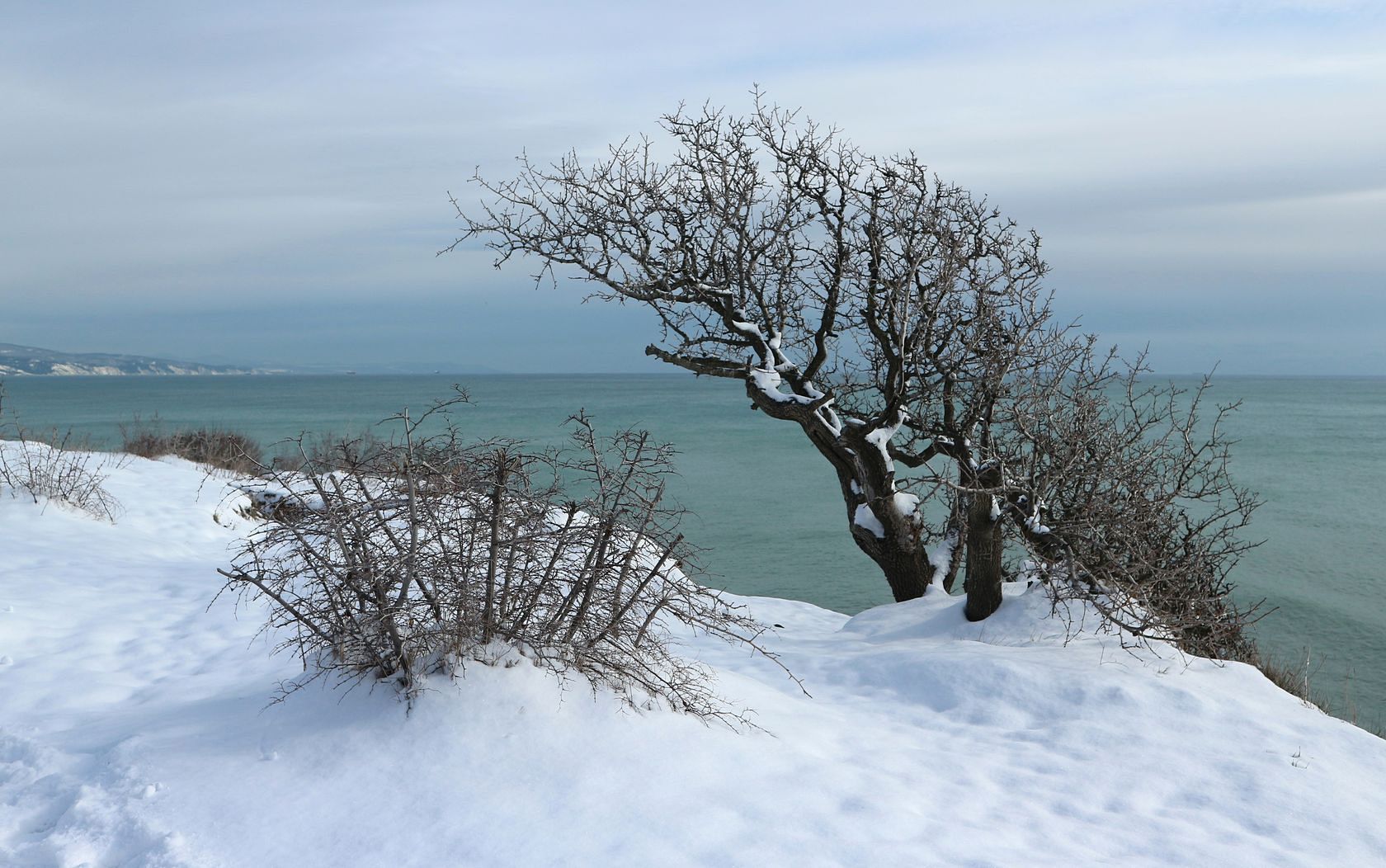 Гора Колдун, image of landscape/habitat.