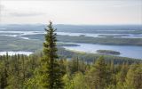 Image of landscape