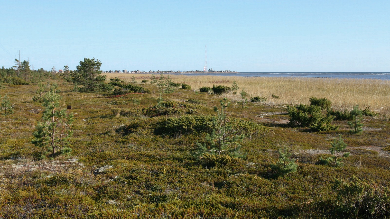 Кашкаранцы, image of landscape/habitat.