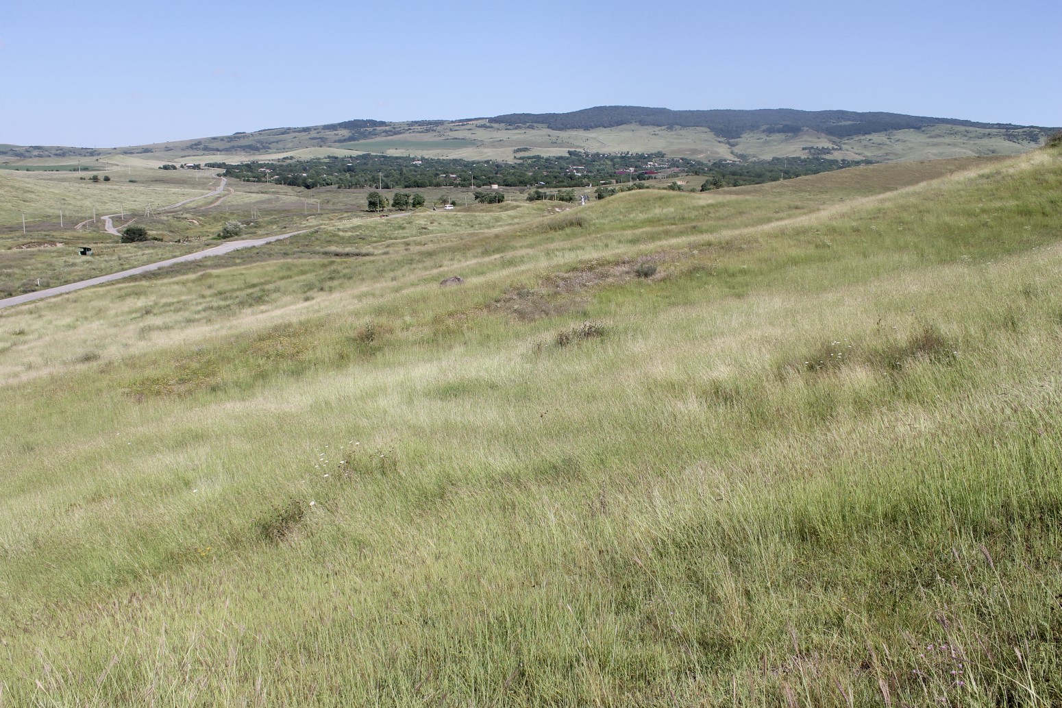 Заманкул, image of landscape/habitat.