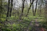 Донецк и его окрестности, image of landscape/habitat.