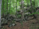 Image of landscape