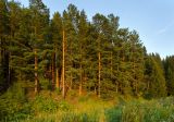 Лобач и окрестности, image of landscape/habitat.