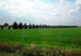 Landscape image