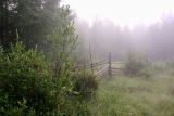 Image of landscape