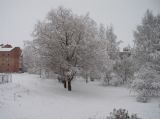 Борок и окрестности, image of landscape/habitat.