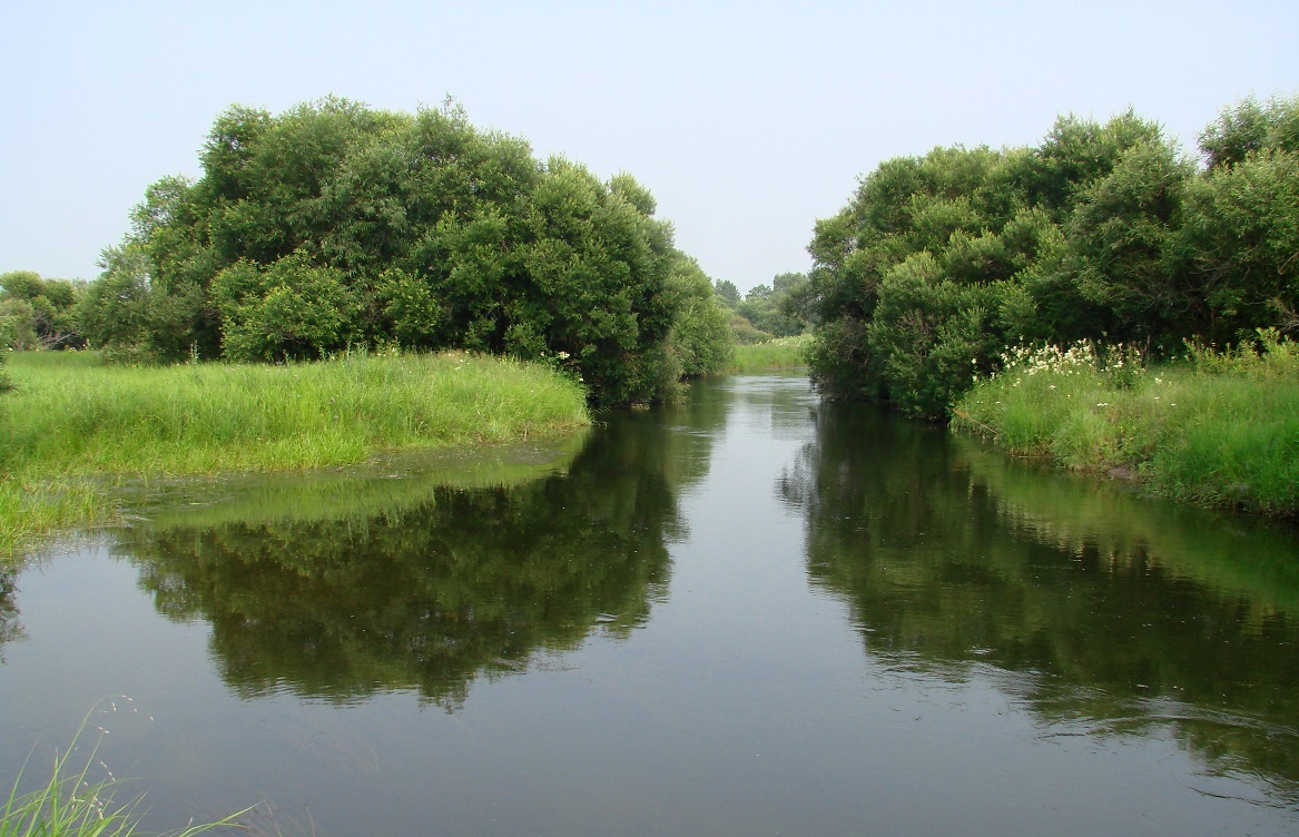 Жердовка, image of landscape/habitat.