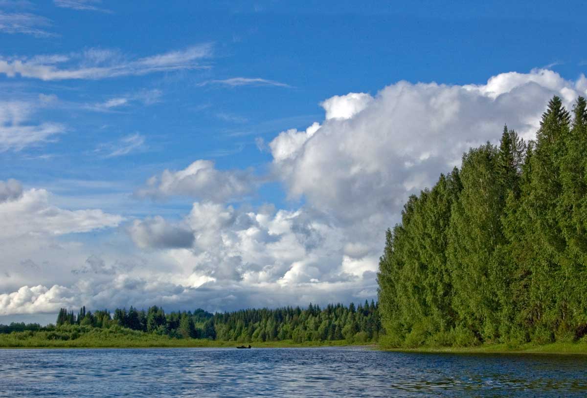 Окрестности урочища Тихий камень, image of landscape/habitat.