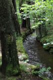 Vyšší Brod a Opatská stezka, image of landscape/habitat.