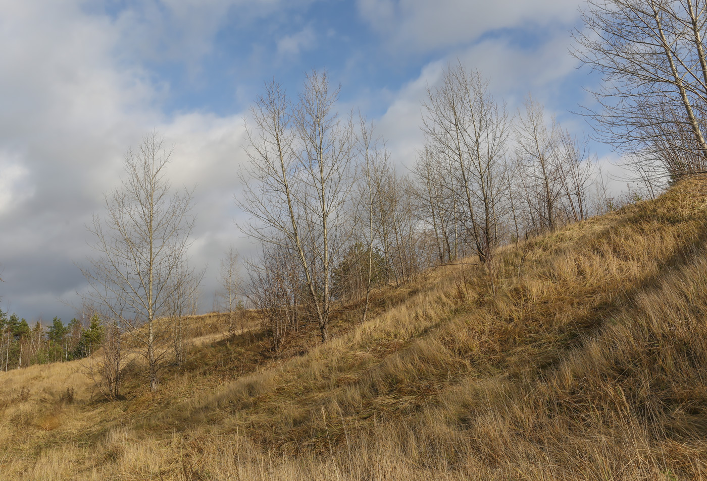 Песчаный карьер, image of landscape/habitat.