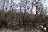 Image of landscape
