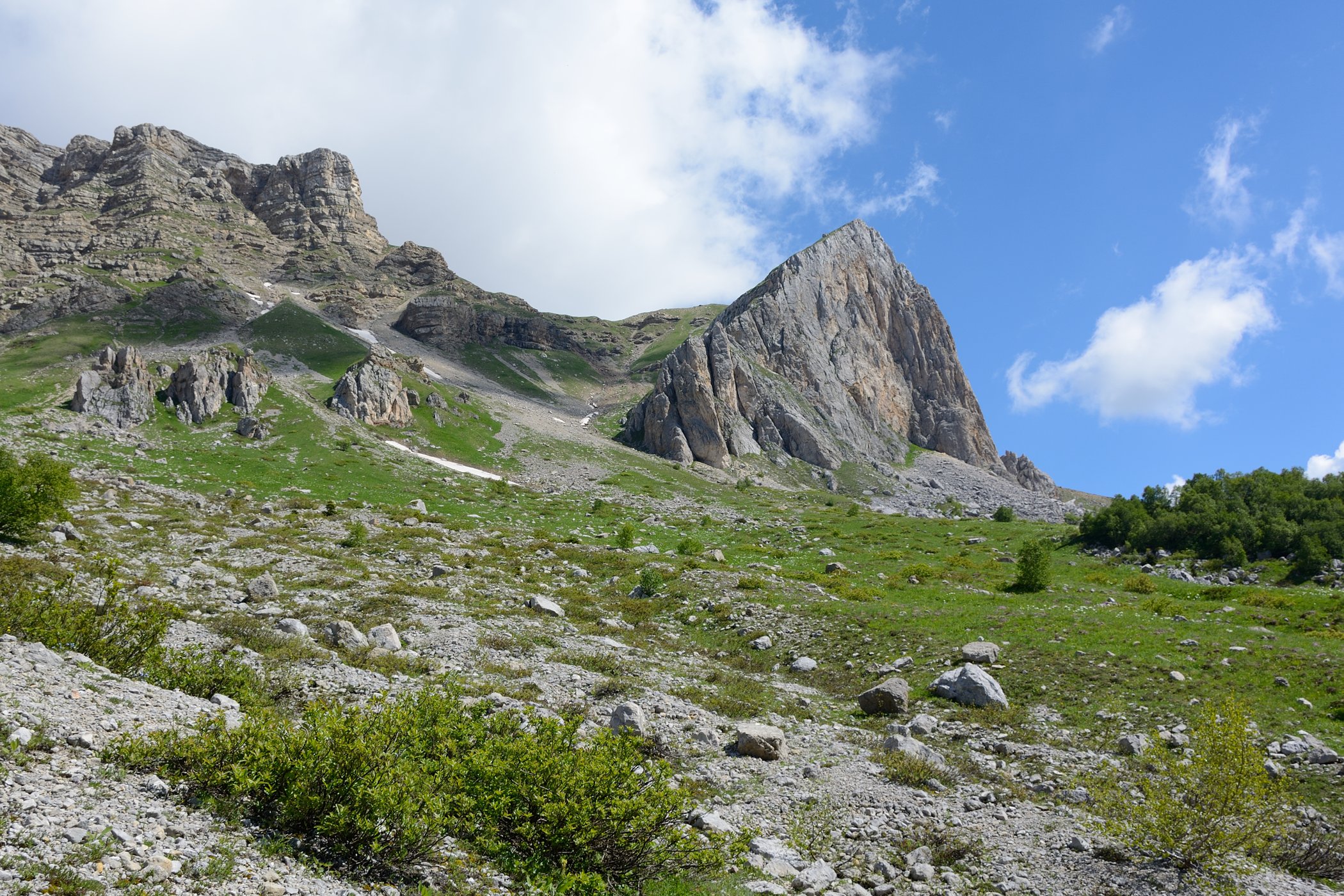 Гузерипльский перевал, image of landscape/habitat.