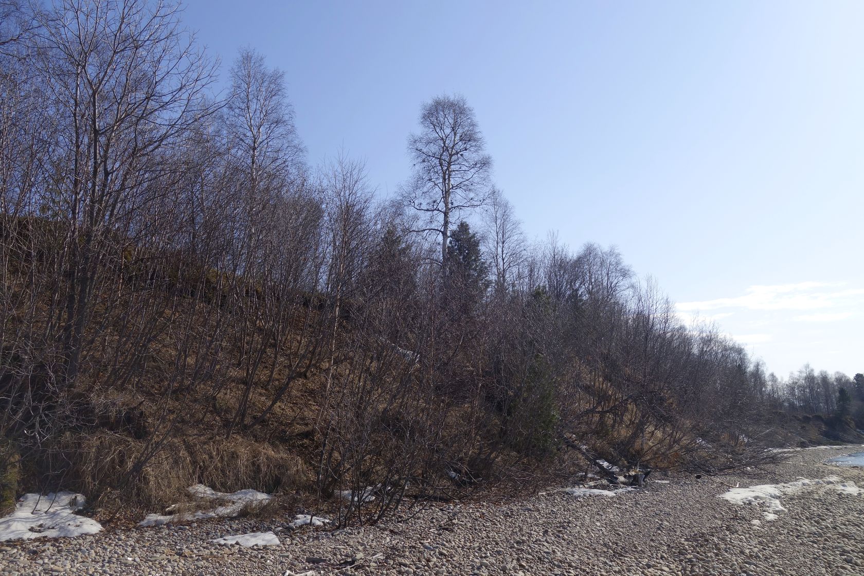 Омулёвый, image of landscape/habitat.