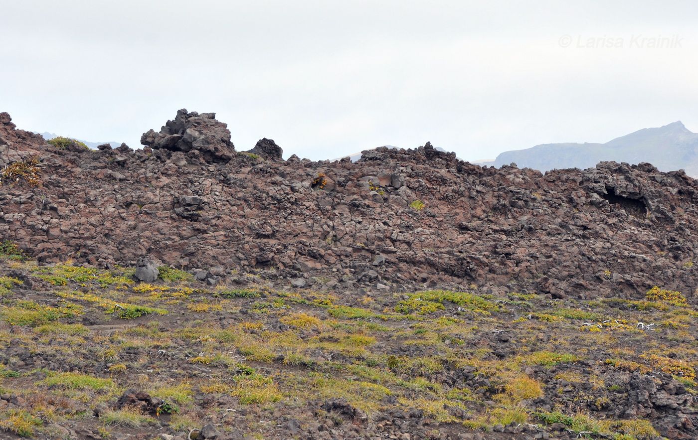 Вулкан Горелый, изображение ландшафта.