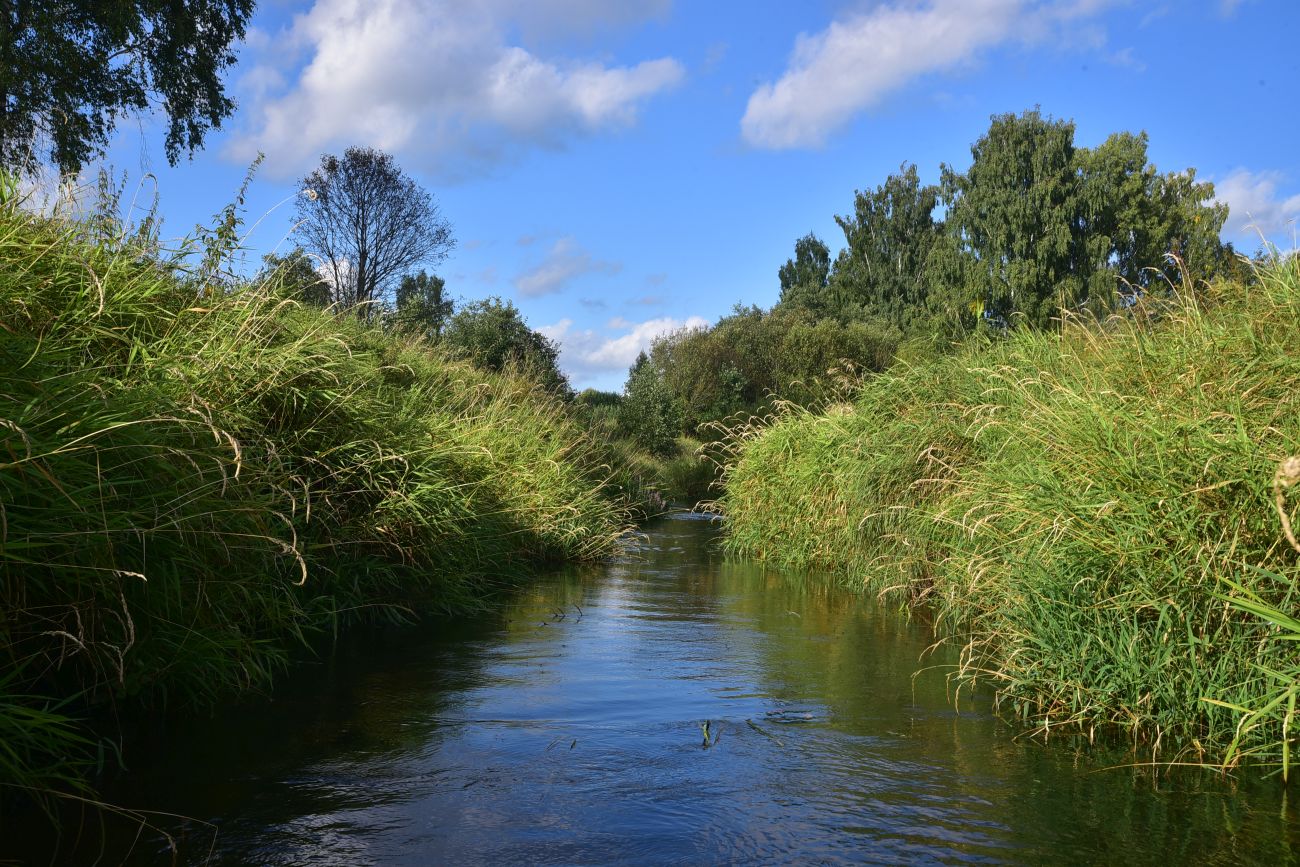 Окрестности Семлёво, image of landscape/habitat.
