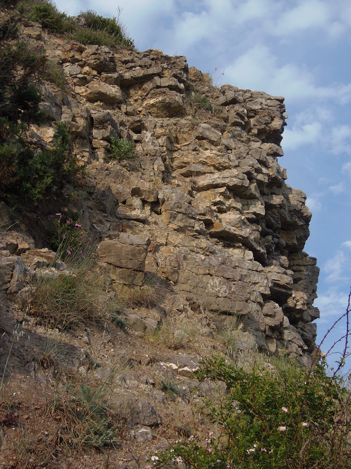 Мыс Никитин, image of landscape/habitat.