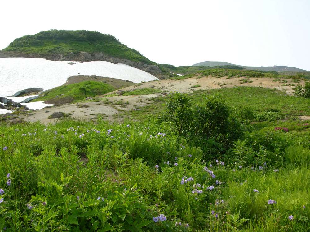 Медвежьи термальные источники, image of landscape/habitat.