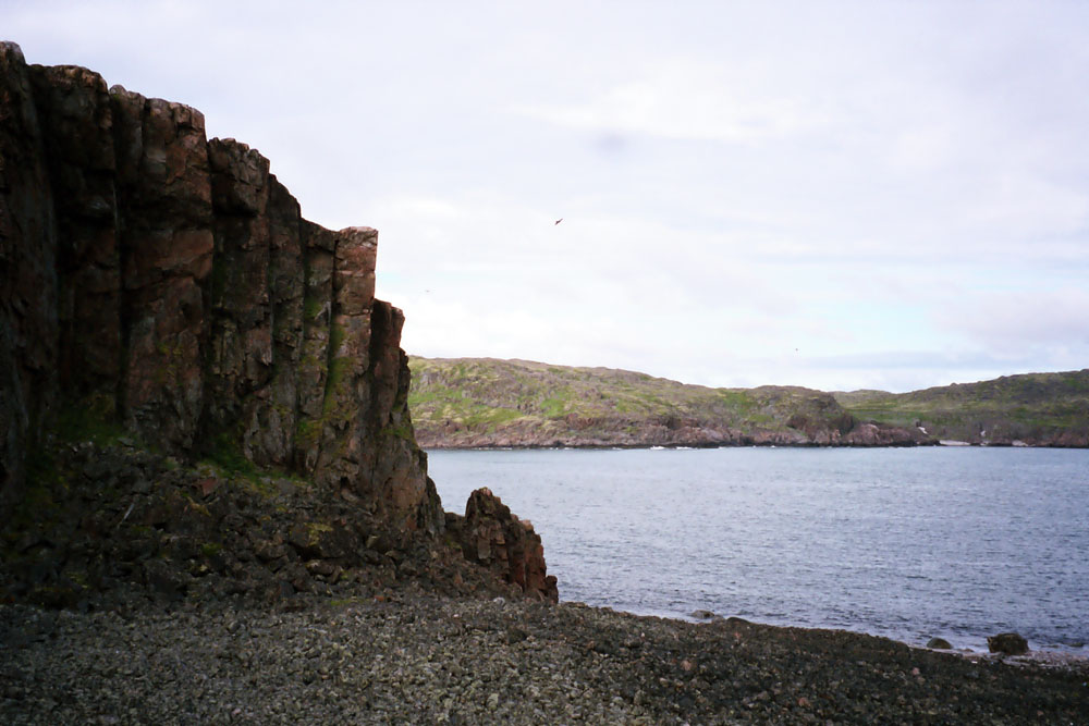 Дальние Зеленцы, image of landscape/habitat.