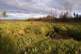 Image of landscape