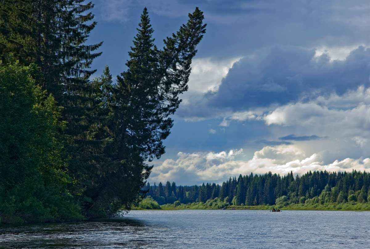 Окрестности урочища Тихий камень, image of landscape/habitat.