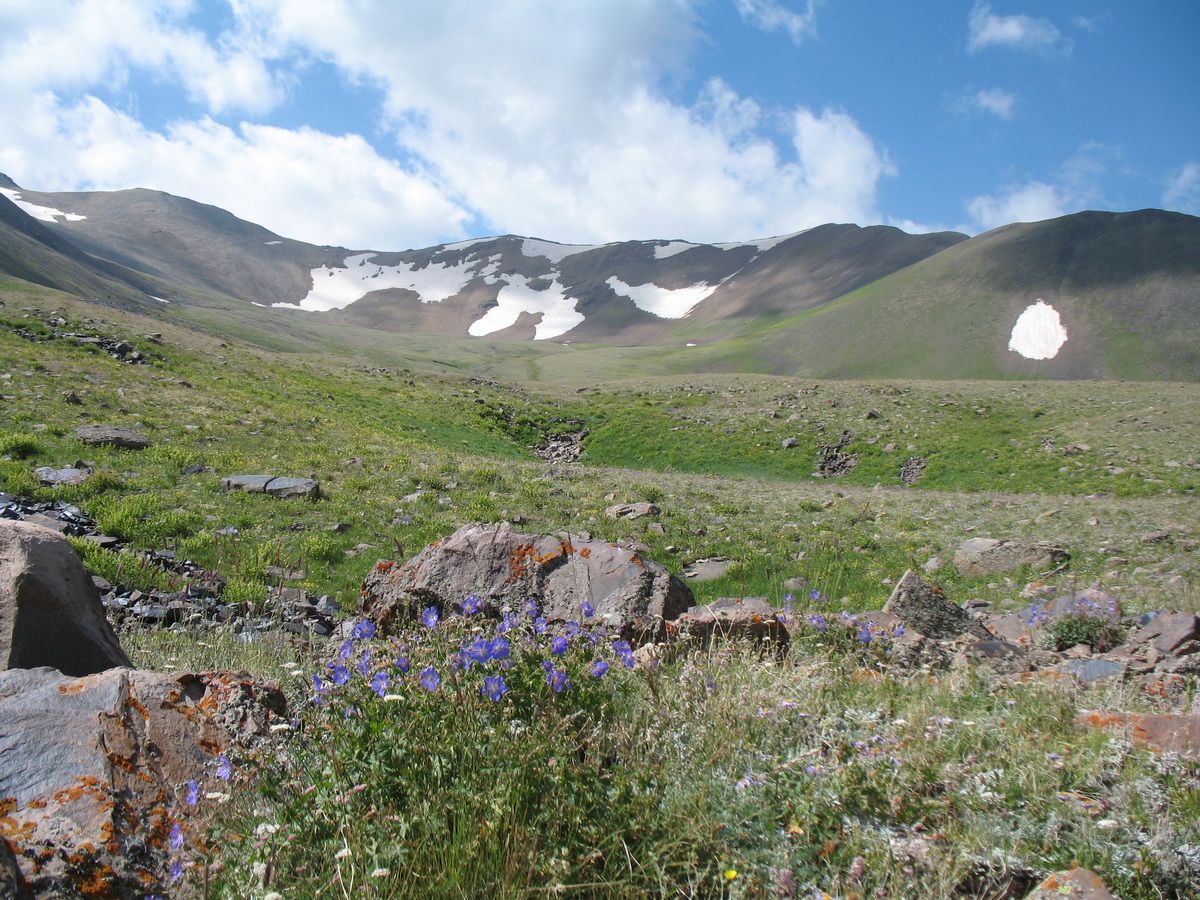 Каскабулак, image of landscape/habitat.