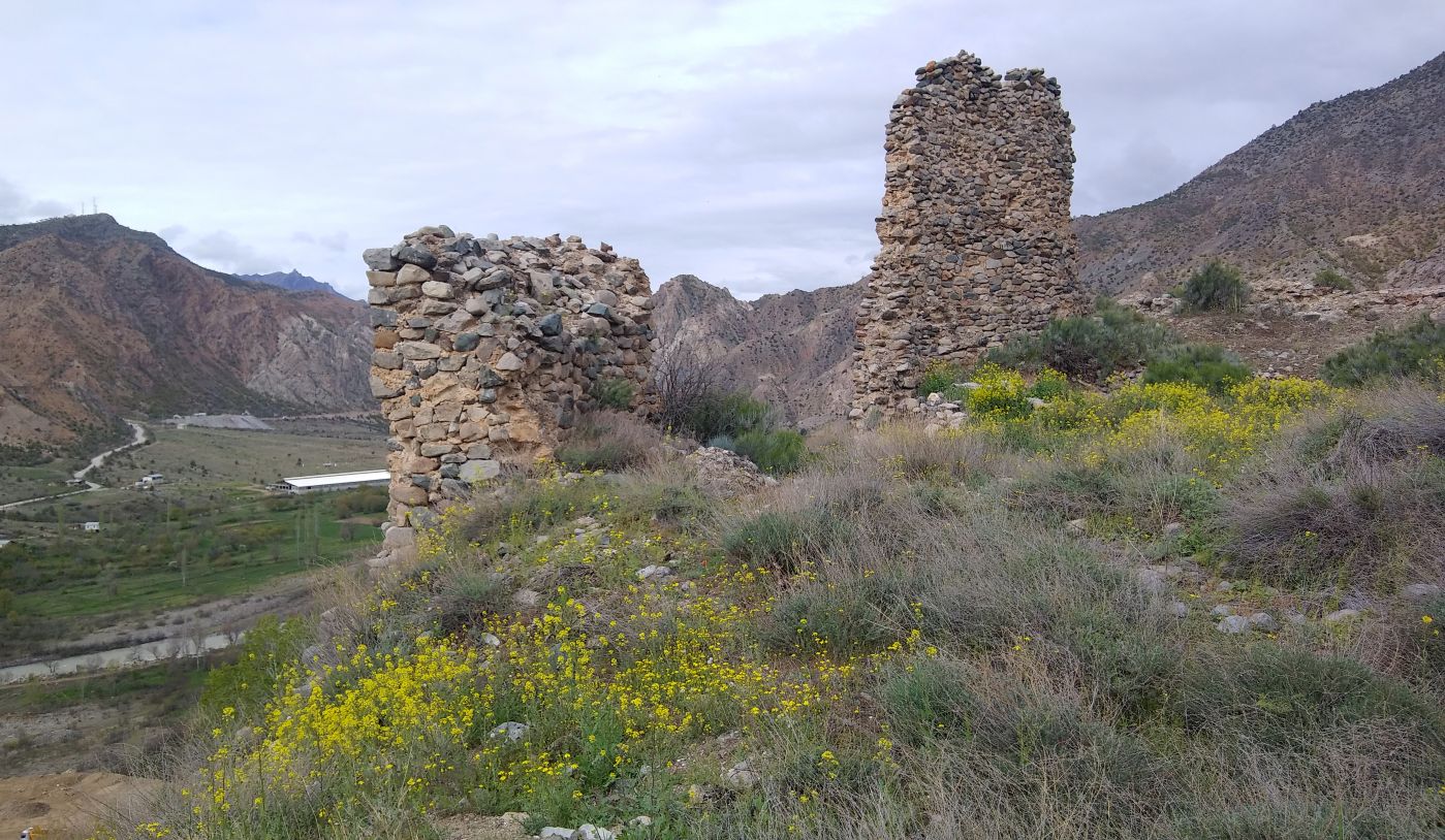 Окрестности крепости Петерек, image of landscape/habitat.