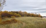 Западный Котлин, image of landscape/habitat.