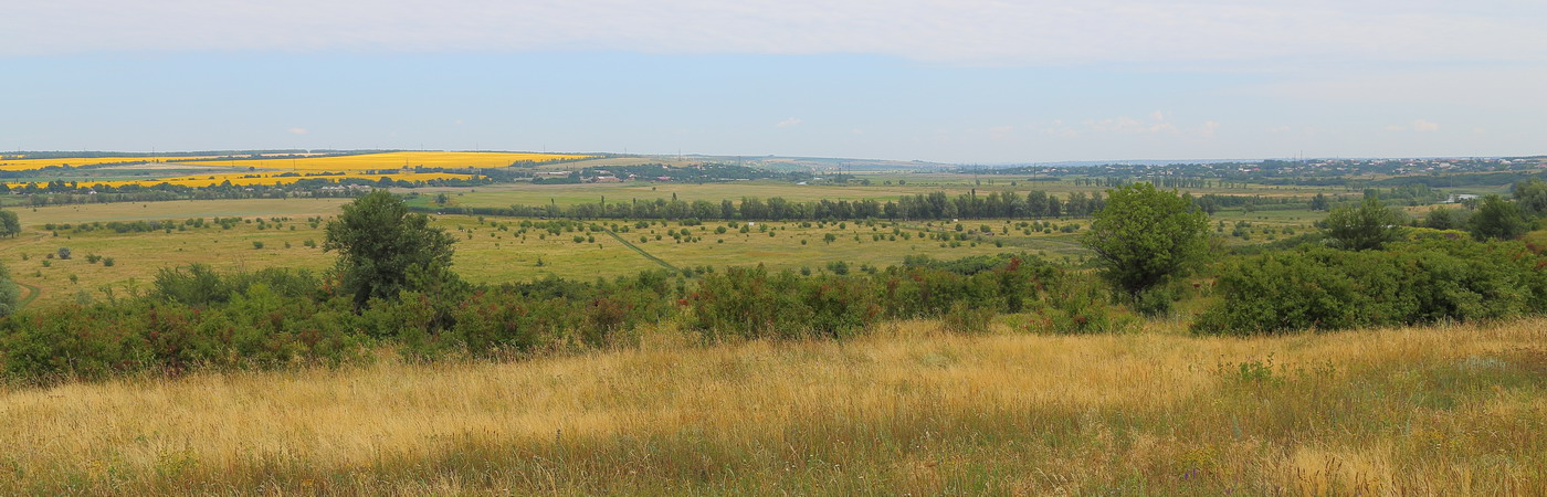 Долина реки Миус (Тр. с/п), image of landscape/habitat.
