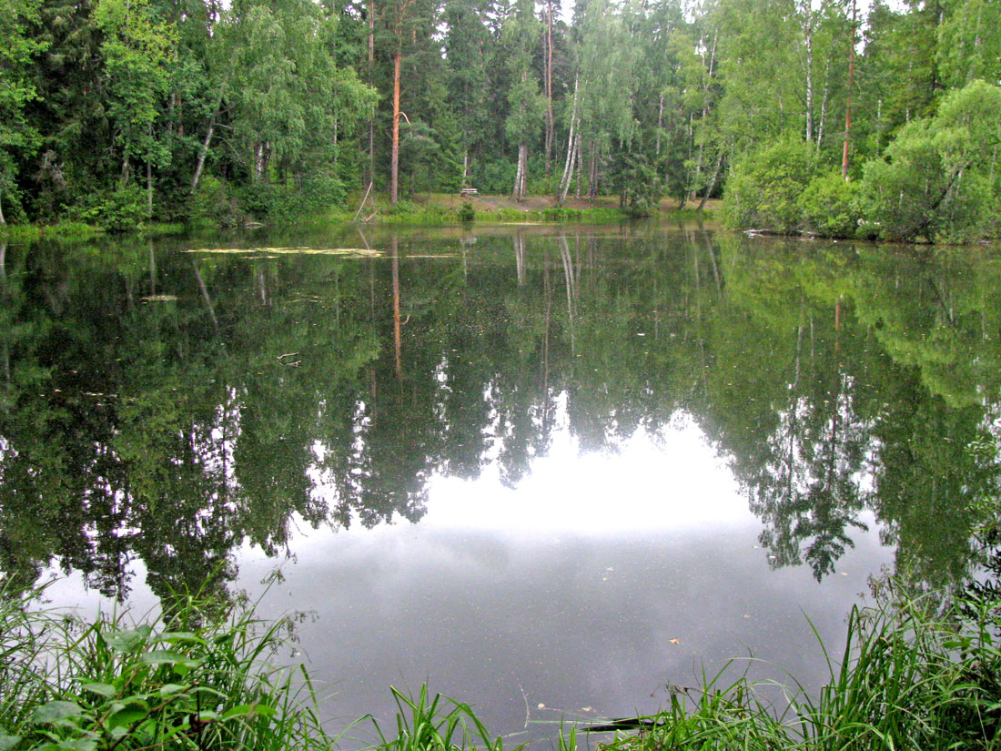 Борок и окрестности, image of landscape/habitat.