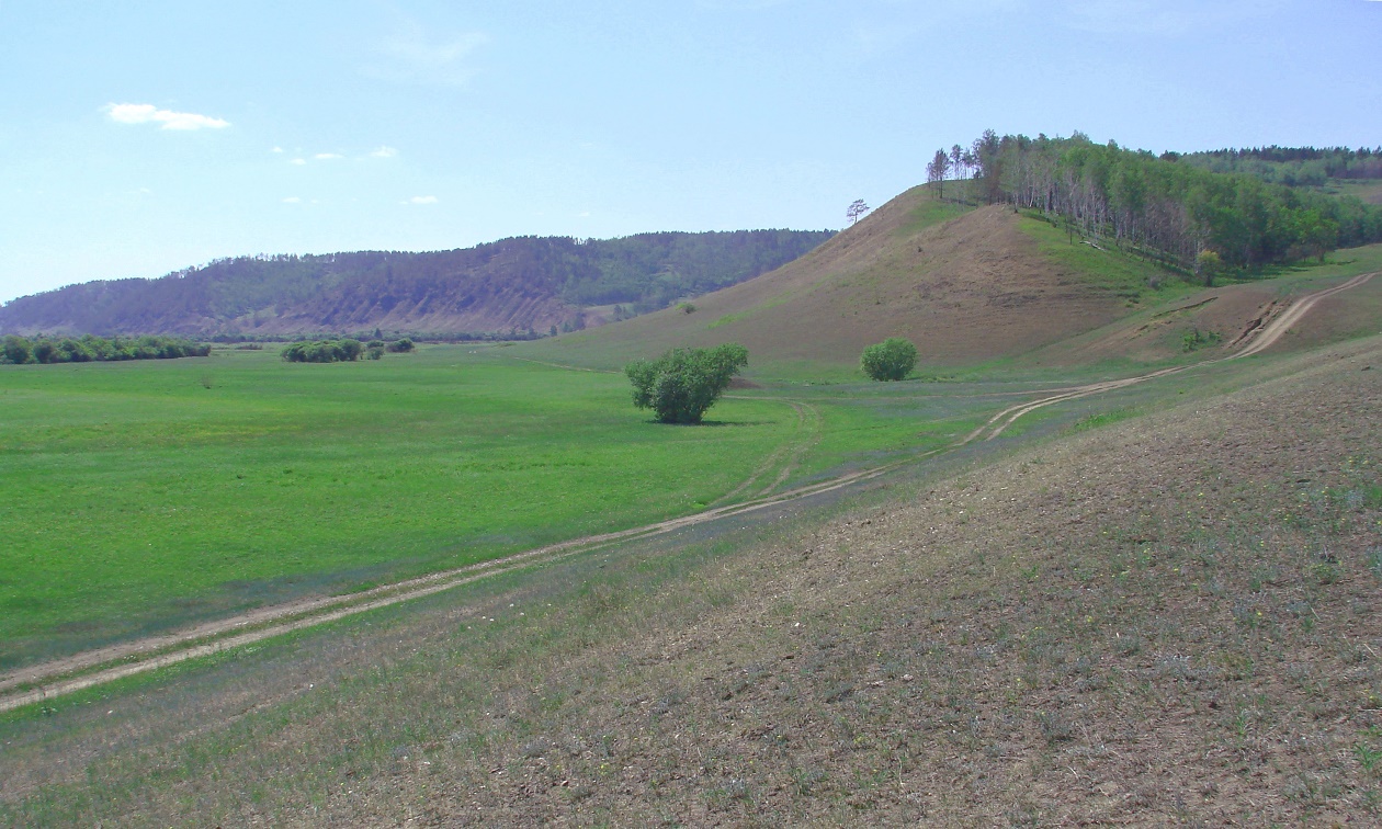 Жердовка, image of landscape/habitat.