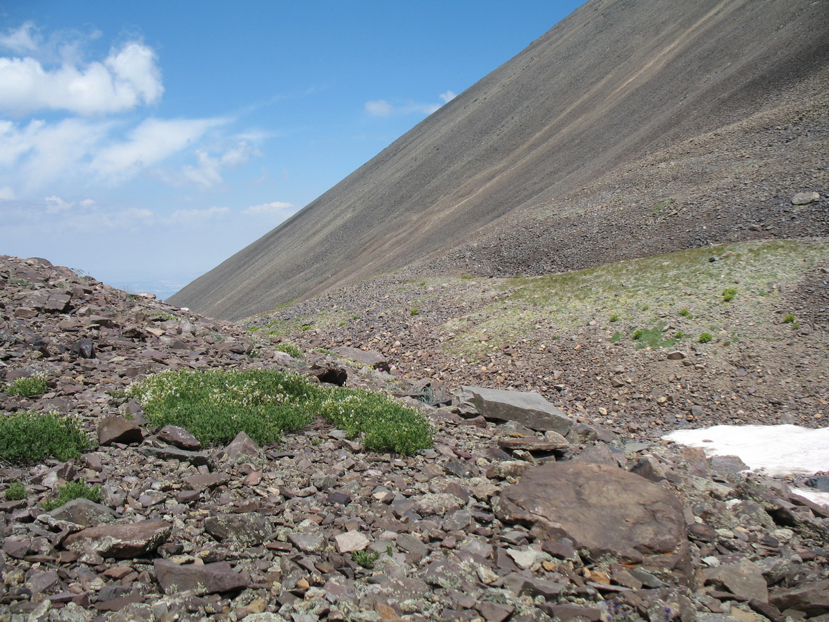 Каскабулак, image of landscape/habitat.