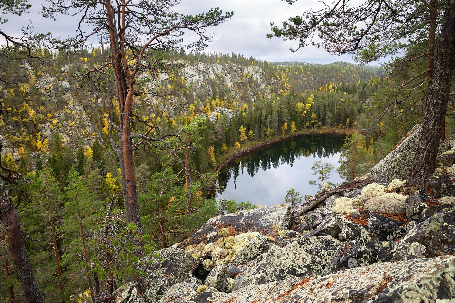 Пизанец, image of landscape/habitat.