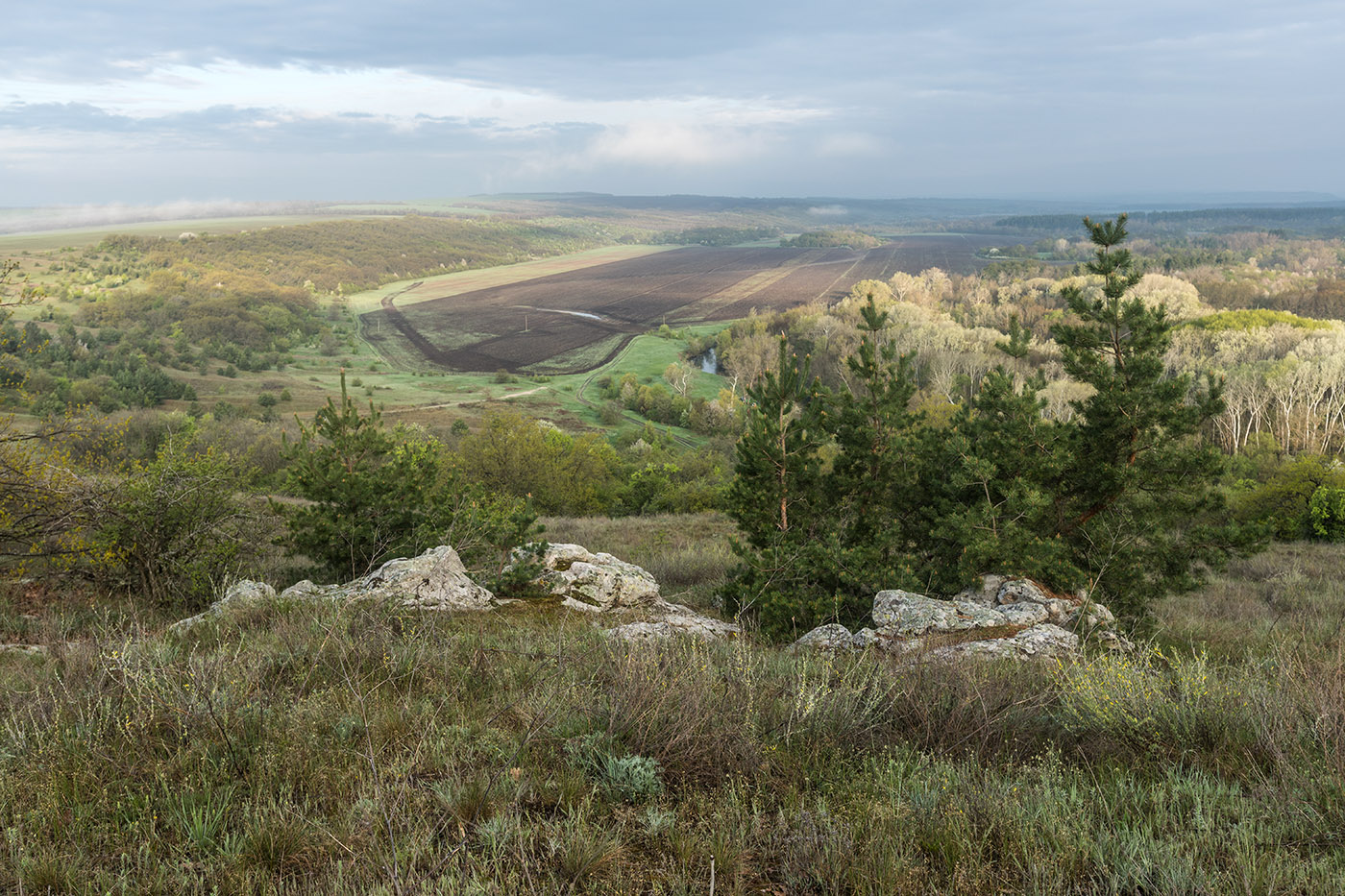 Гора Городище, image of landscape/habitat.