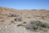 Image of landscape