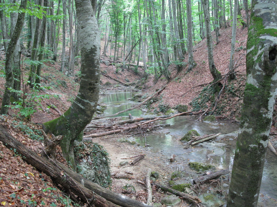 Большой каньон Крыма, image of landscape/habitat.