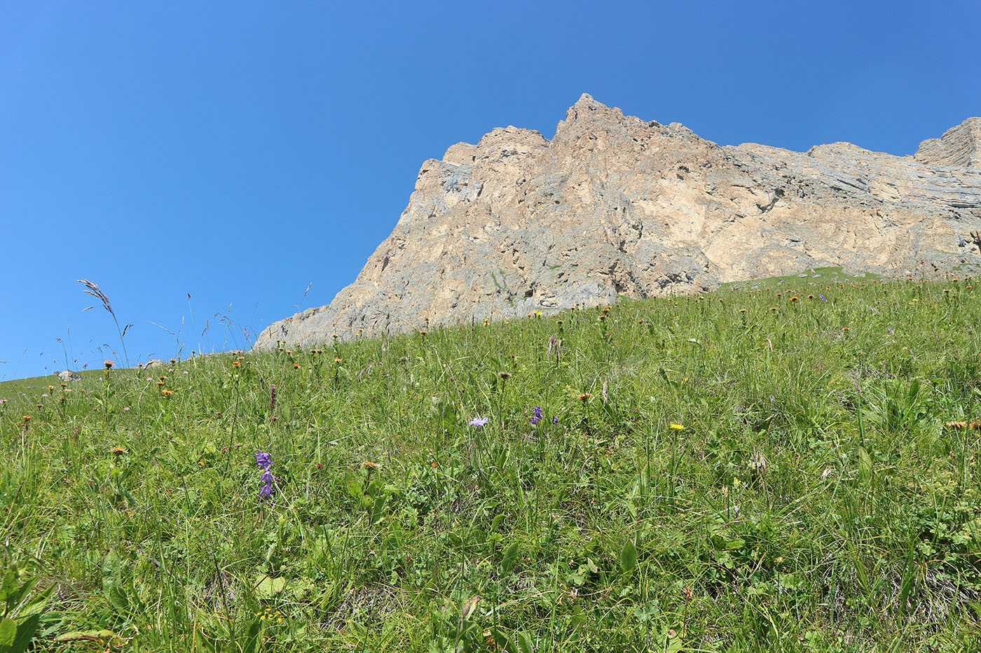Хазнибаши, image of landscape/habitat.