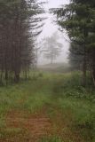 Image of landscape