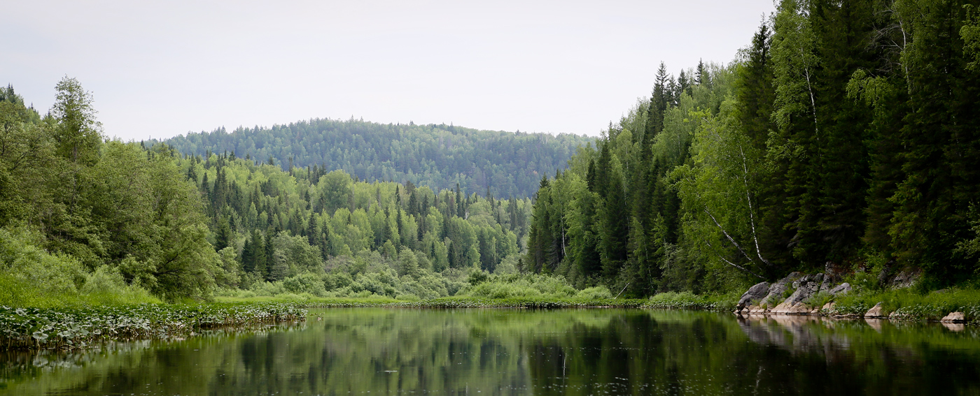 Низовья и устье Койвы, image of landscape/habitat.