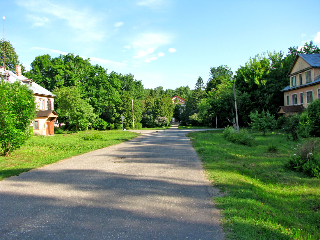 Борок и окрестности, image of landscape/habitat.