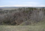 Жердовка, image of landscape/habitat.