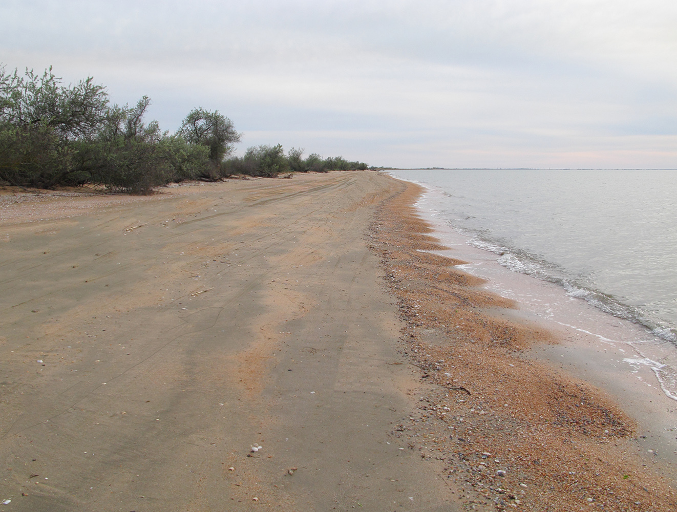 Куликовское гирло, image of landscape/habitat.