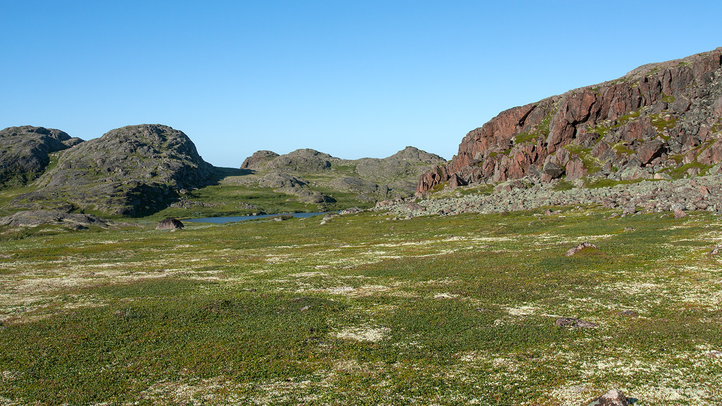 Подпахтинская губа, image of landscape/habitat.