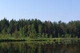 Озеро Белое, image of landscape/habitat.