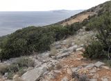 Image of landscape