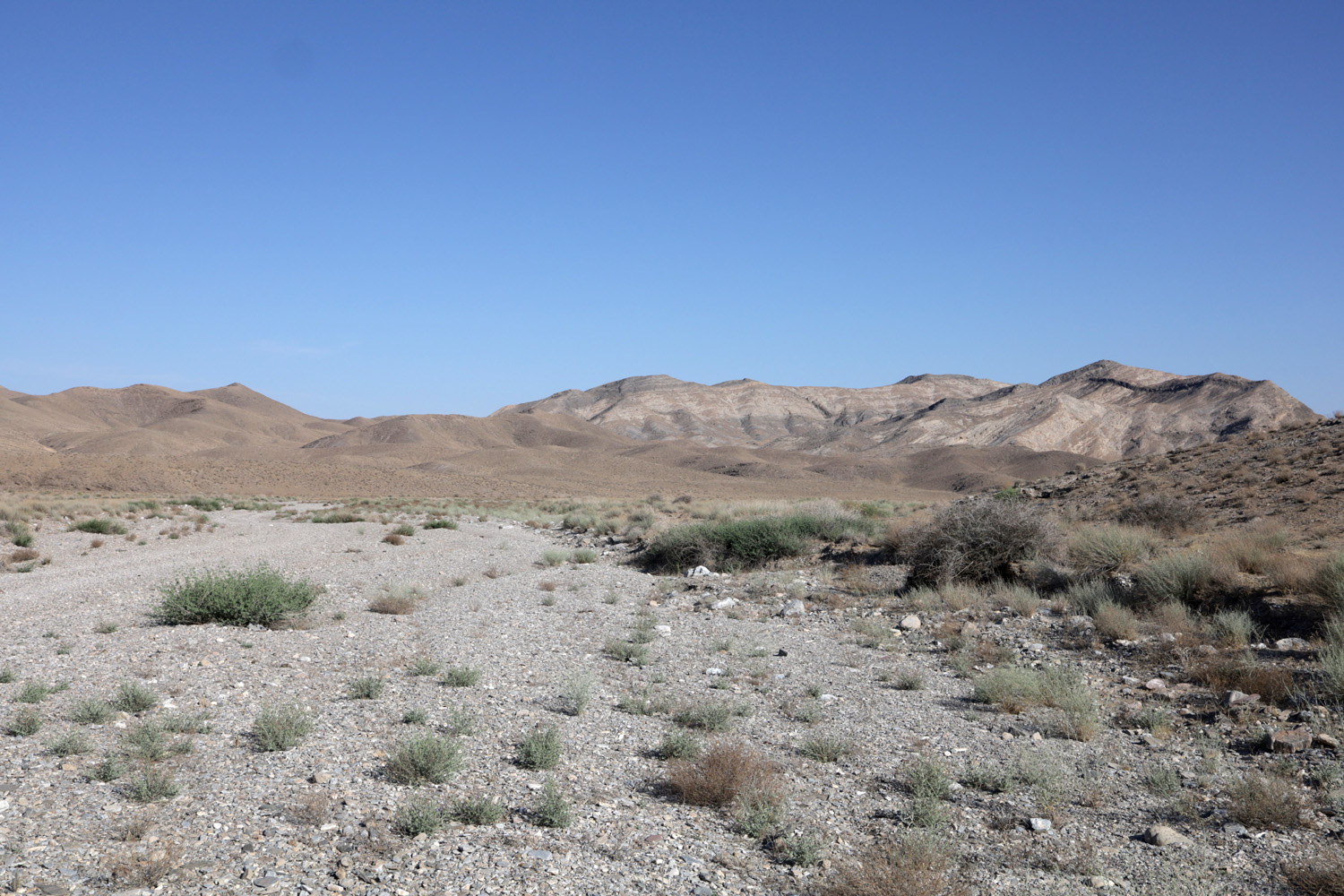 Тамдытау, image of landscape/habitat.