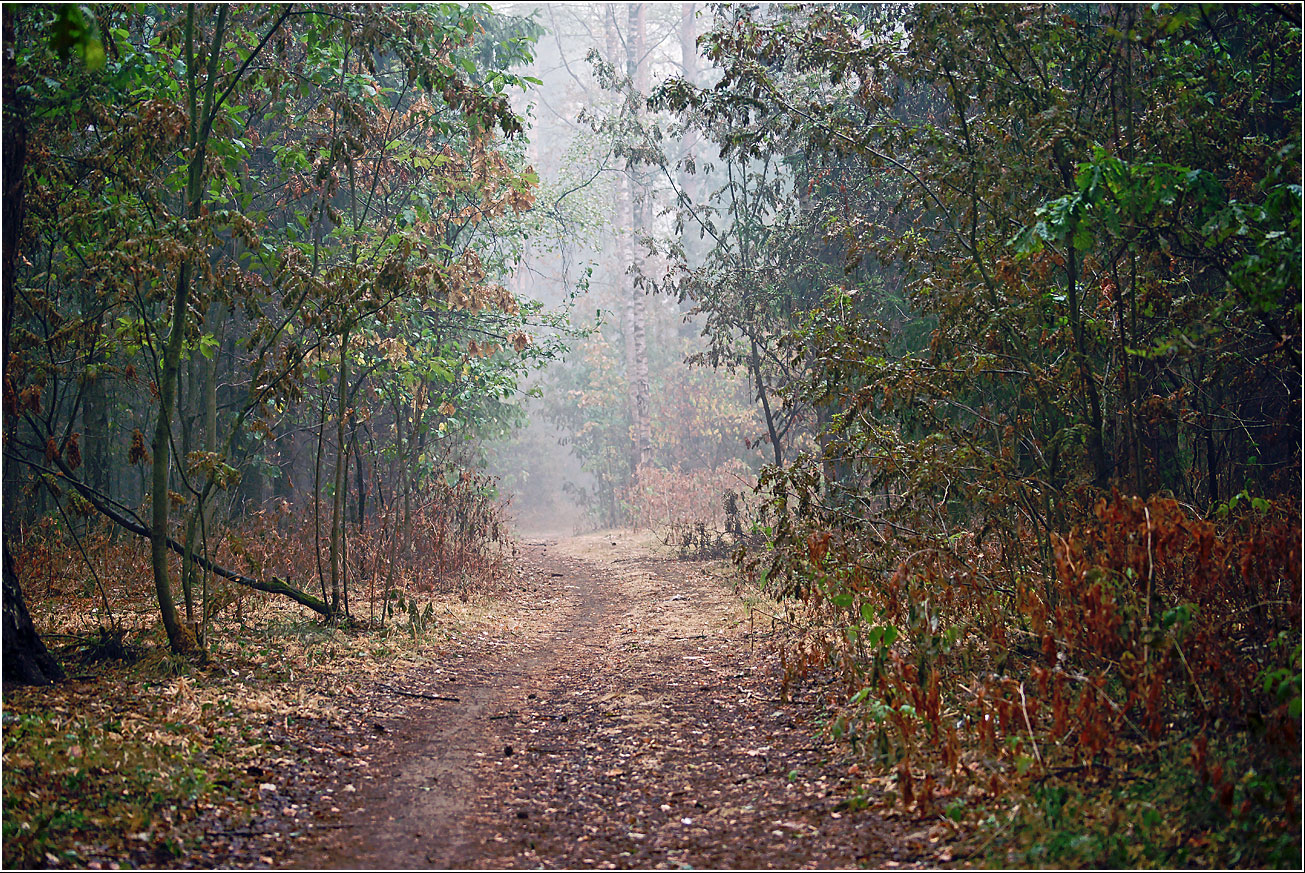 Окрестности Хрипани, image of landscape/habitat.